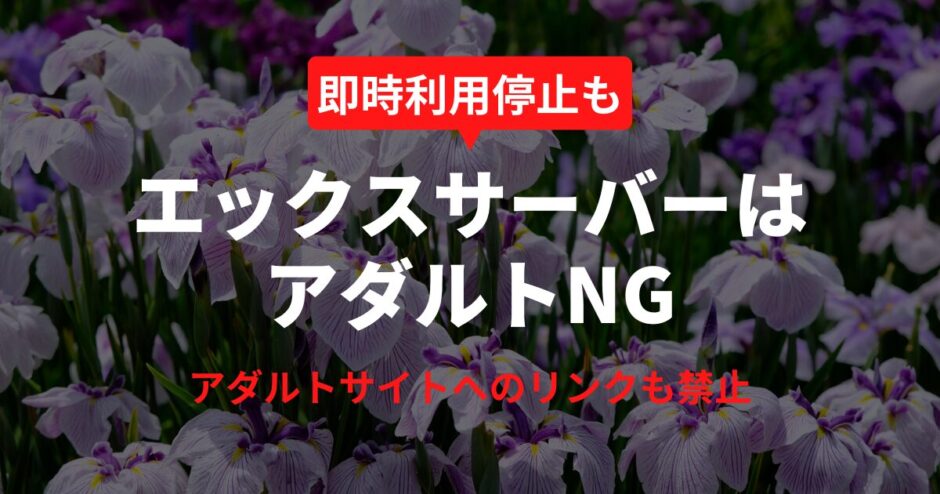 エックスサーバーでアダルト運営はNG？最新規約と代替案まとめ